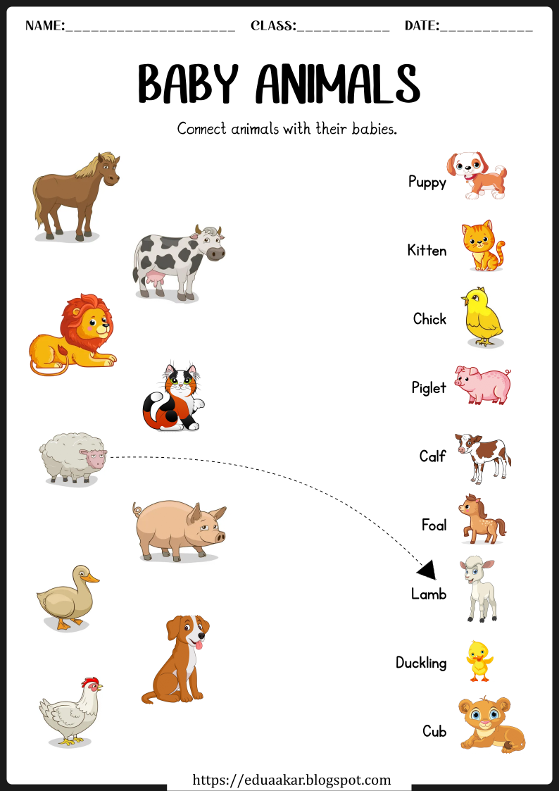 30 English Worksheets For Kids Kindergarten Animals