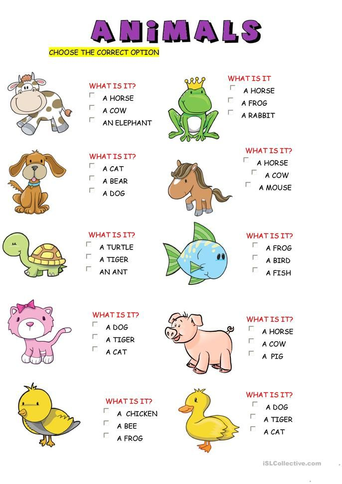 30 English Worksheets For Kids Kindergarten Animals