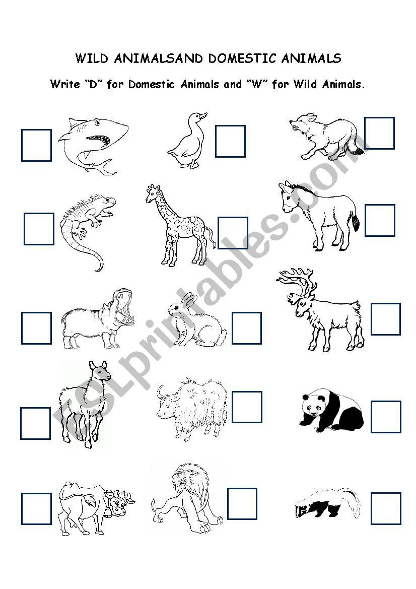 30 English Worksheets For Kids Kindergarten Animals