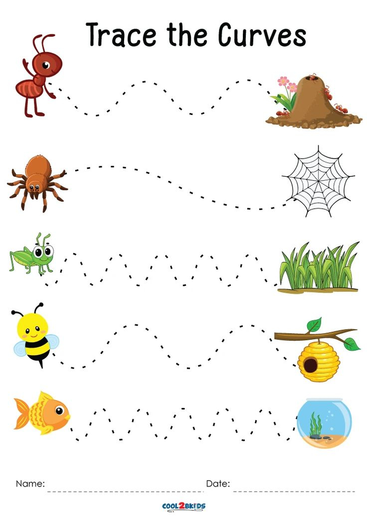 30 Kindergarten Worksheets Tracing Lines