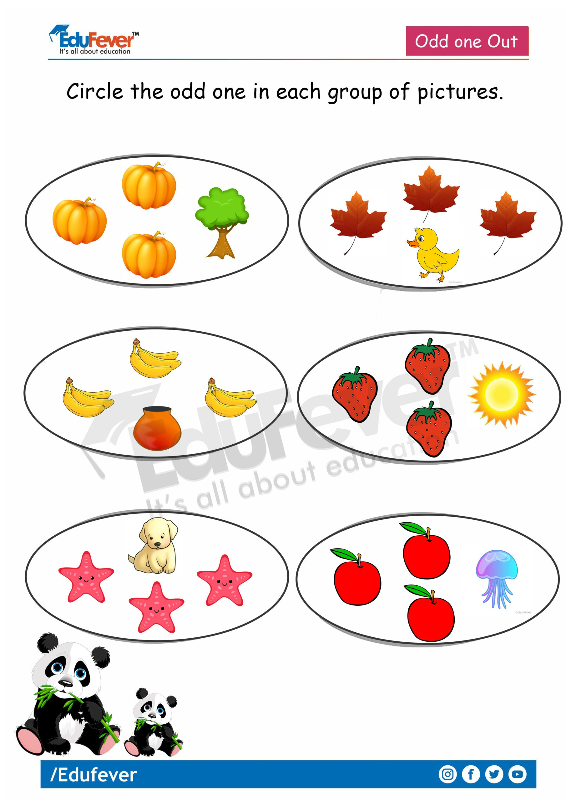 30 Math Worksheets For Kindergarten Lkg