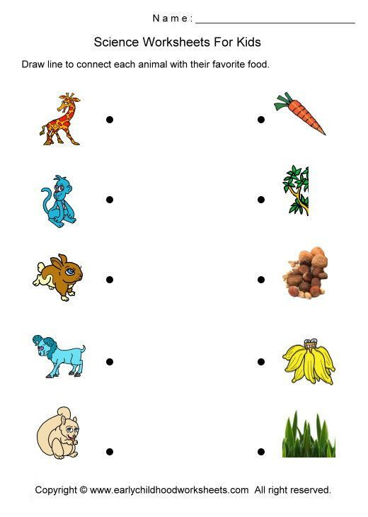 30 Printable Worksheets For Kindergarten Science