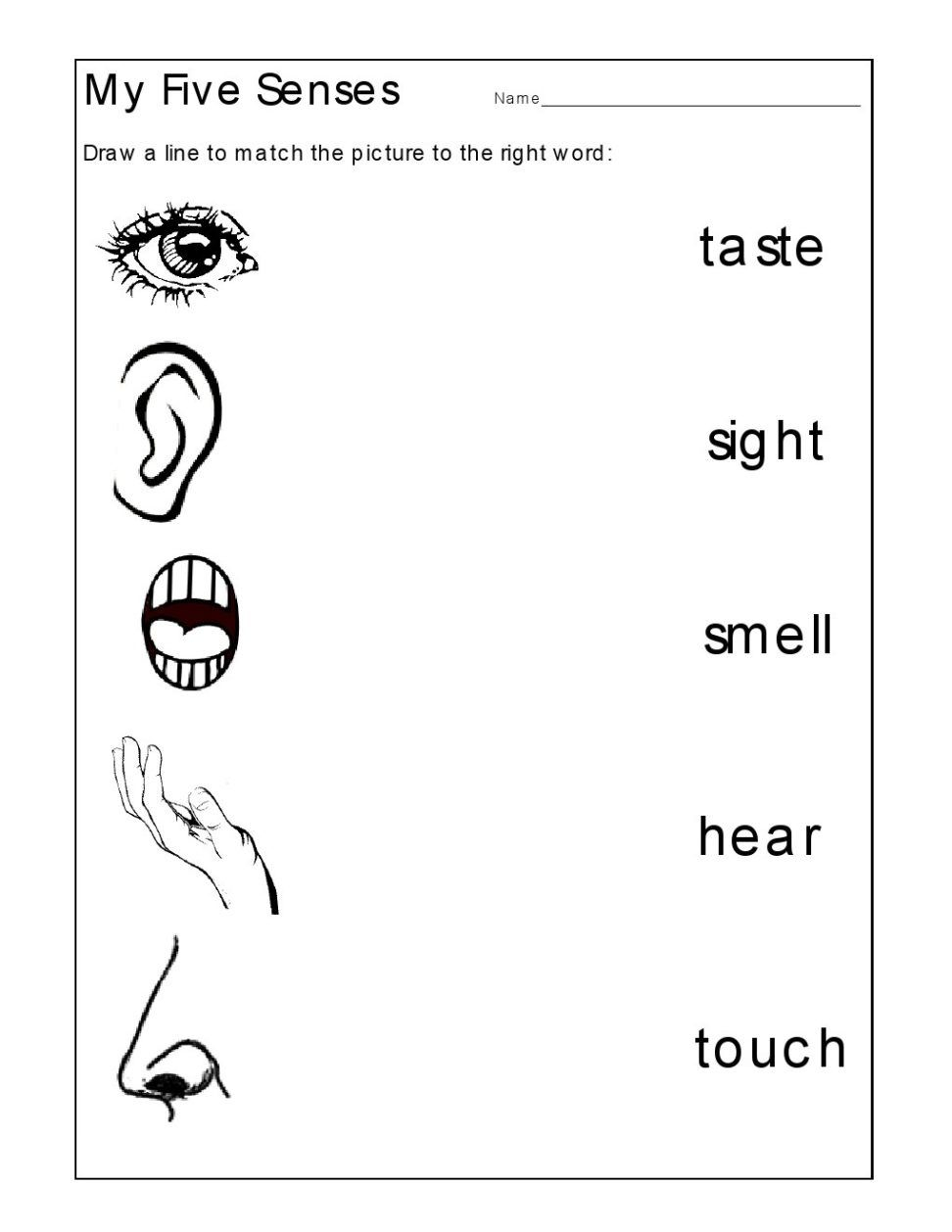 30 Printable Worksheets For Kindergarten Science