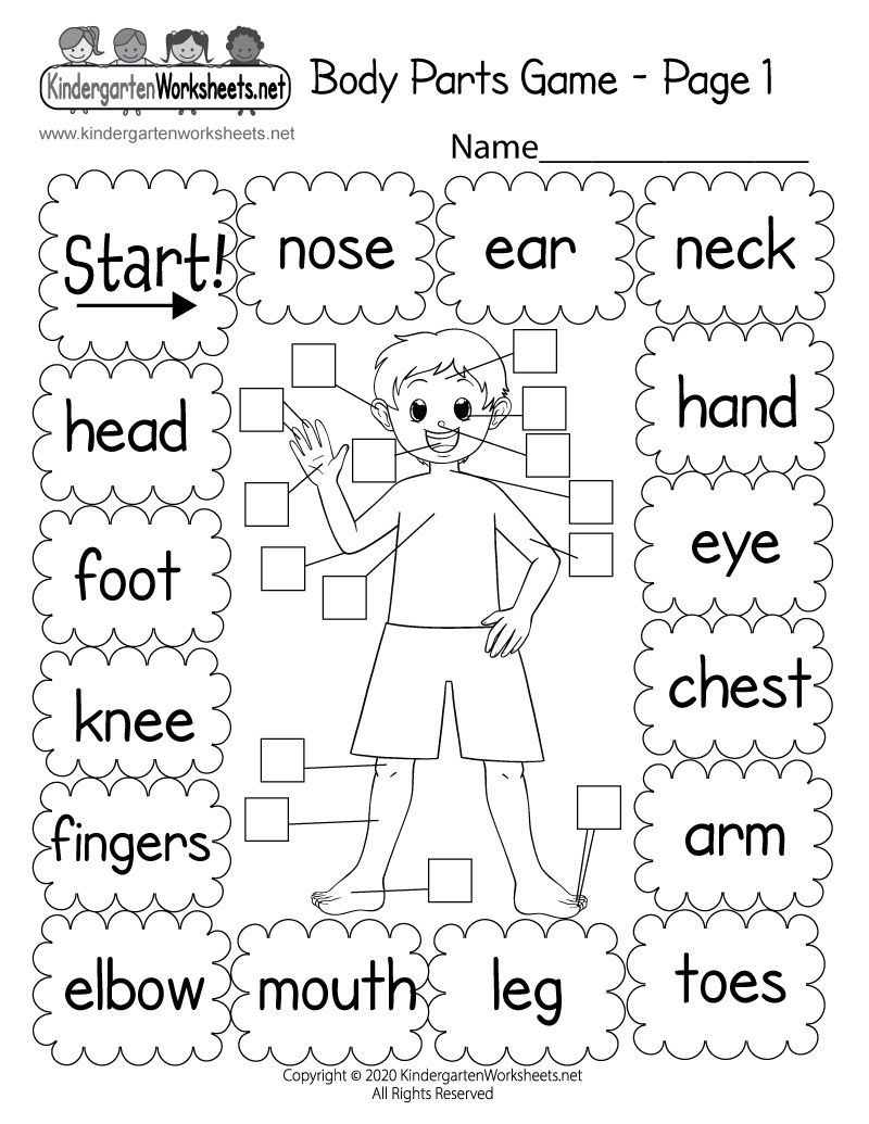 30 Printable Worksheets For Kindergarten Science