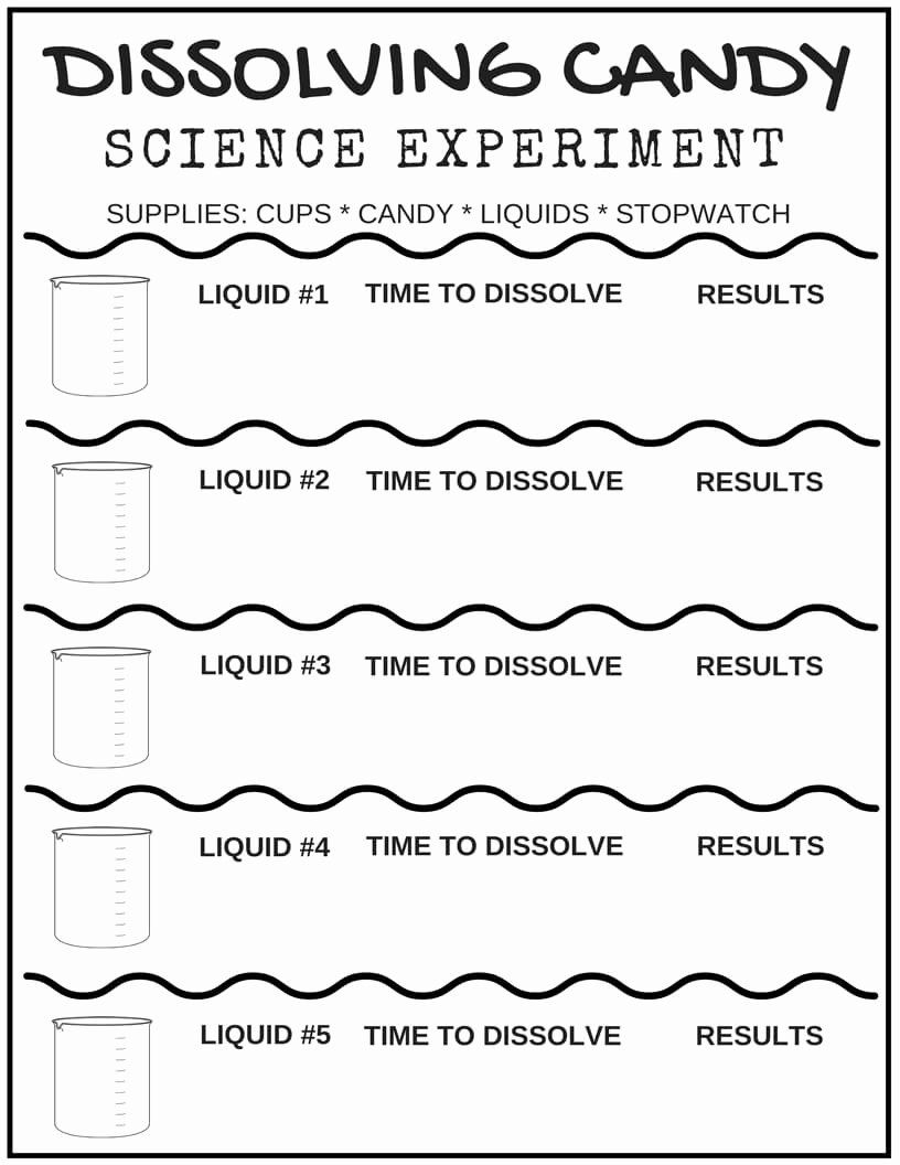 30 Printable Worksheets For Kindergarten Science