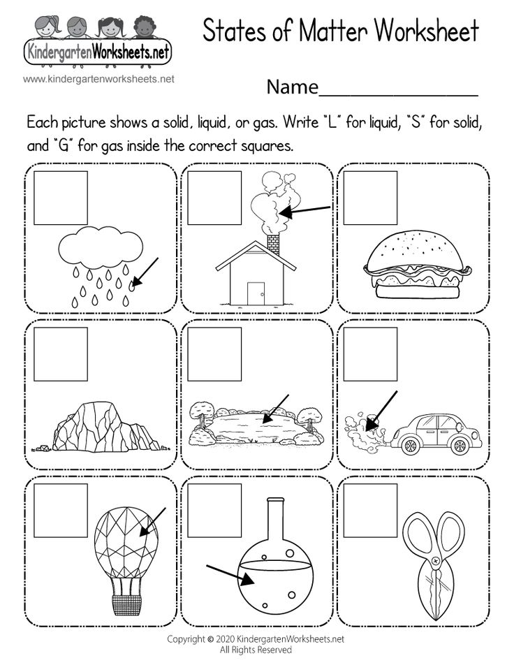 30 Printable Worksheets For Kindergarten Science