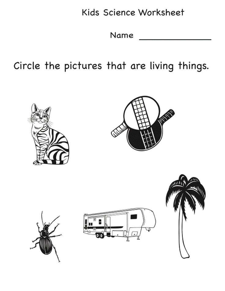30 Printable Worksheets For Kindergarten Science