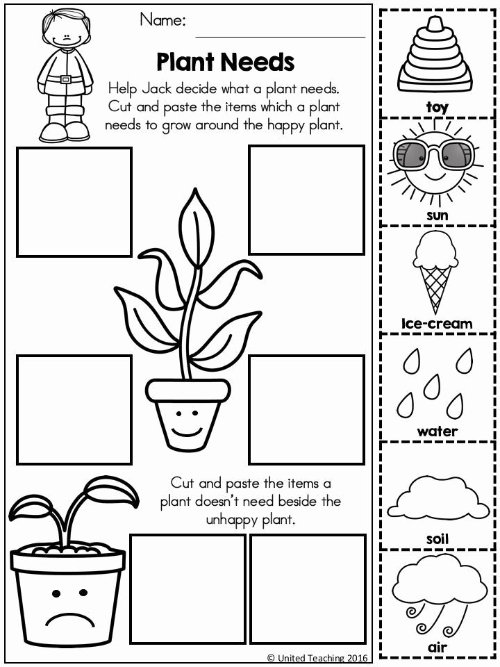 30 Printable Worksheets For Kindergarten Science