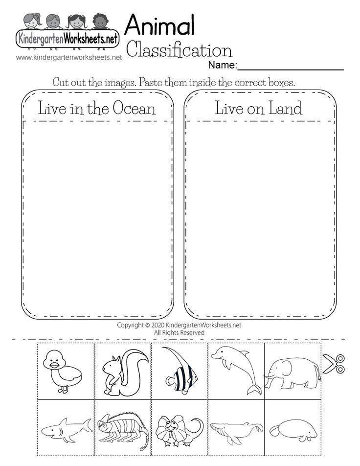 30 Printable Worksheets For Kindergarten Science