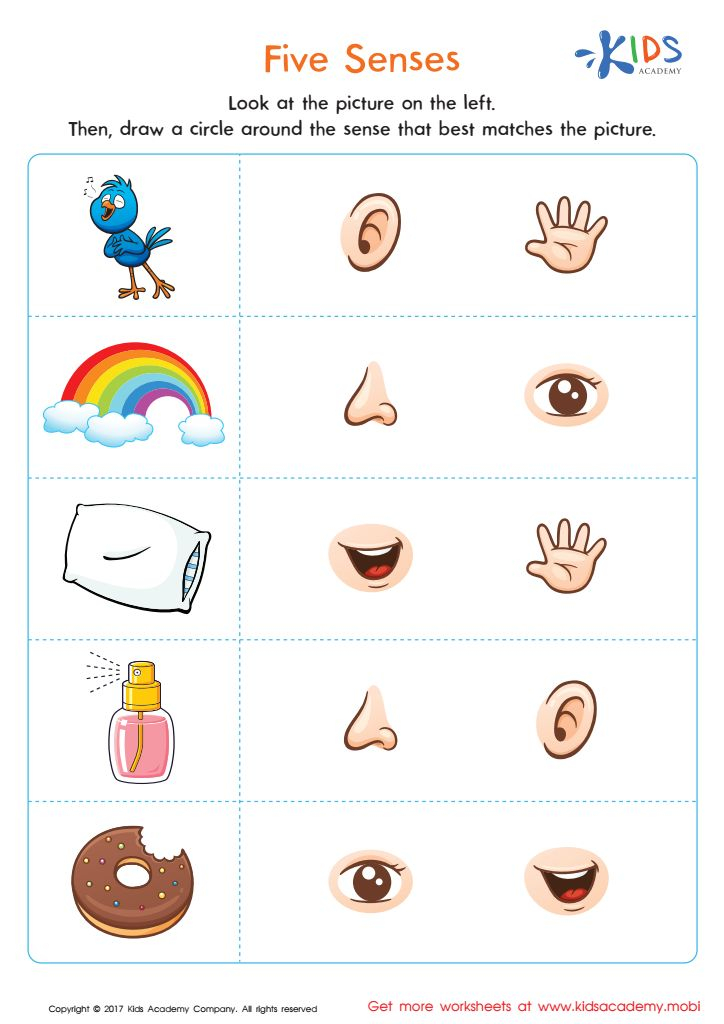 30 Printable Worksheets For Kindergarten Science
