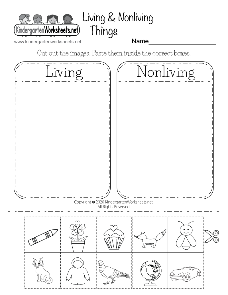 30 Printable Worksheets For Kindergarten Science
