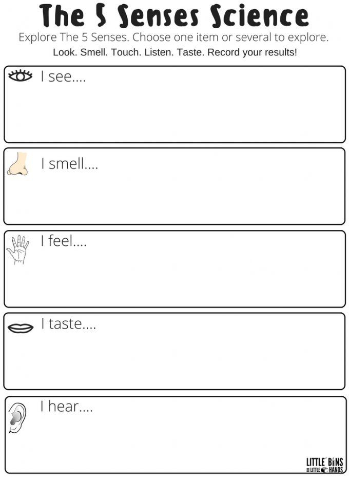 30 Printable Worksheets For Kindergarten Science