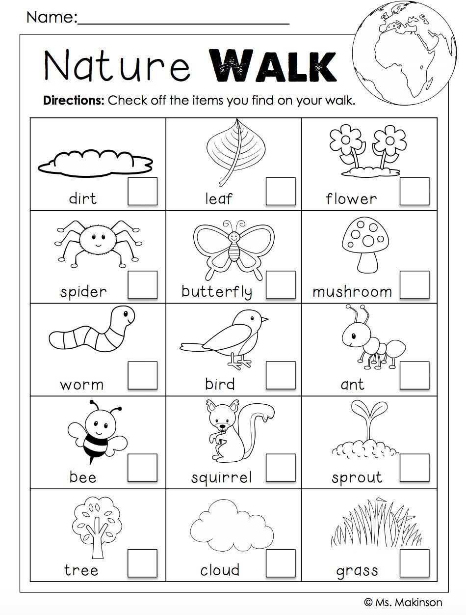 30 Printable Worksheets For Kindergarten Science