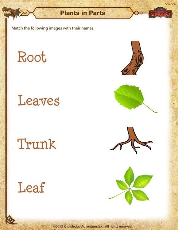 30 Printable Worksheets For Kindergarten Science