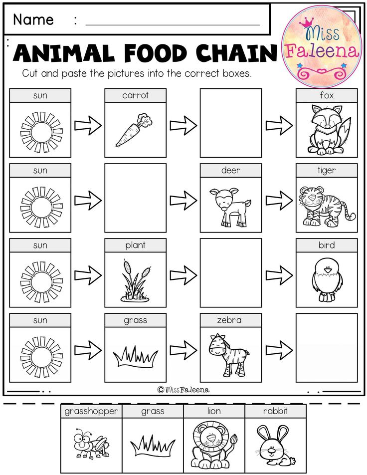 30 Printable Worksheets For Kindergarten Science