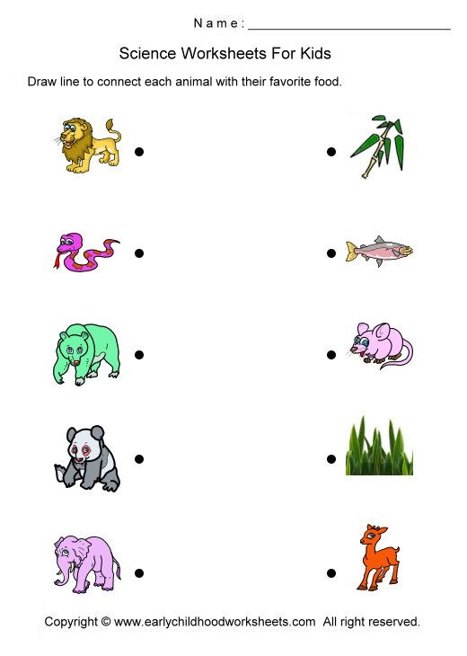 30 Printable Worksheets For Kindergarten Science