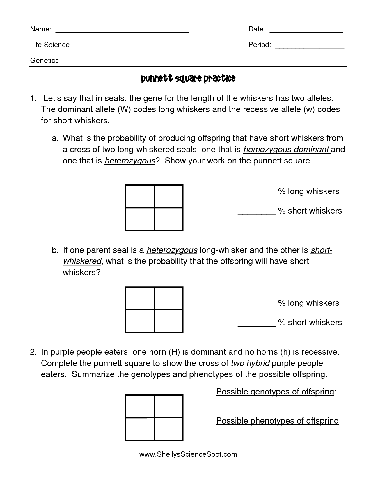 30 Punnett Square Practice Worksheet