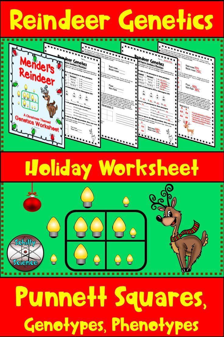 30 Punnett Square Practice Worksheet