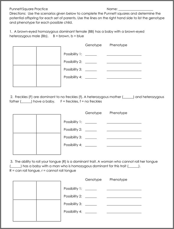 30 Punnett Square Practice Worksheet