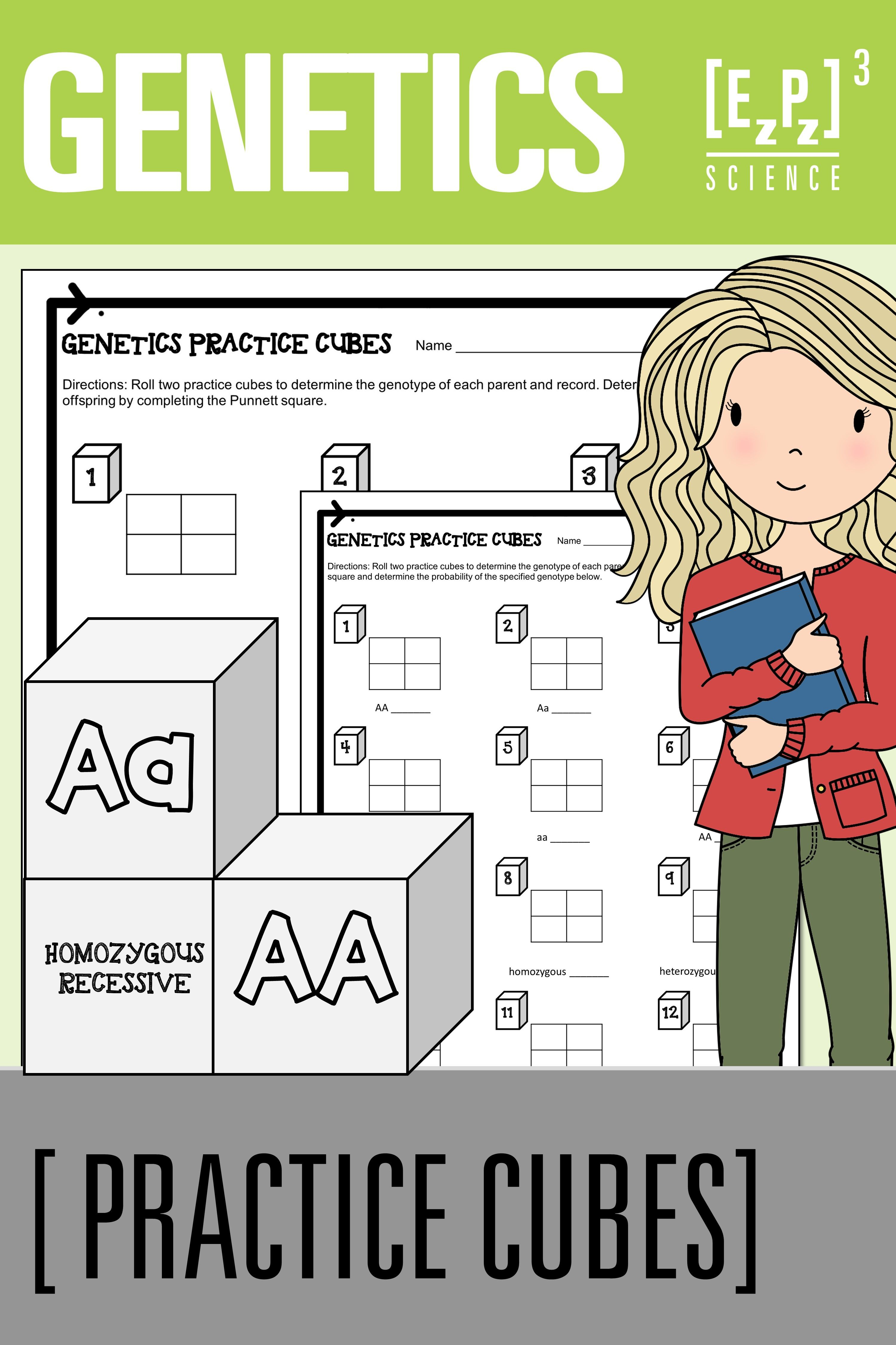 30 Punnett Square Practice Worksheet