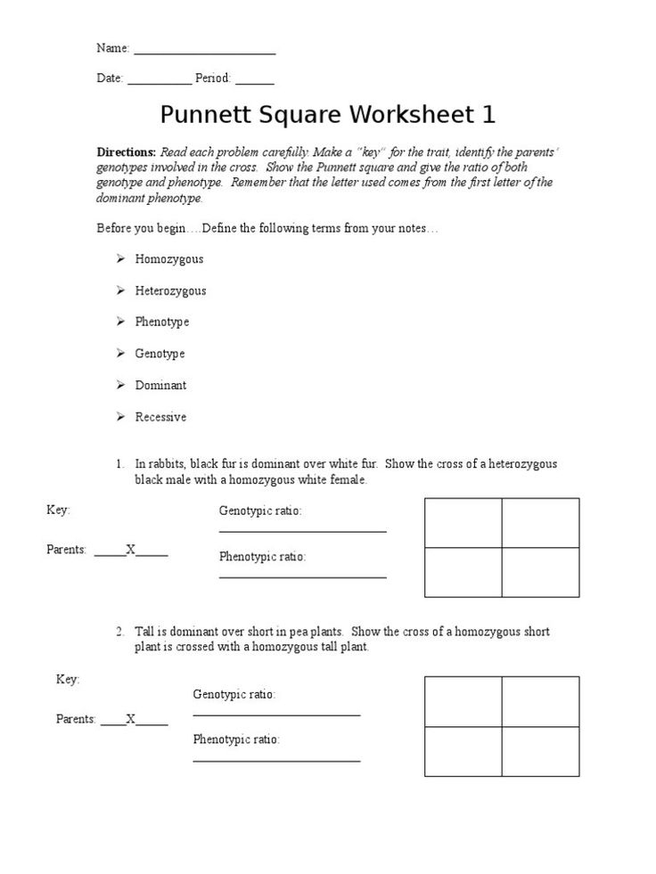 30 Punnett Square Practice Worksheet