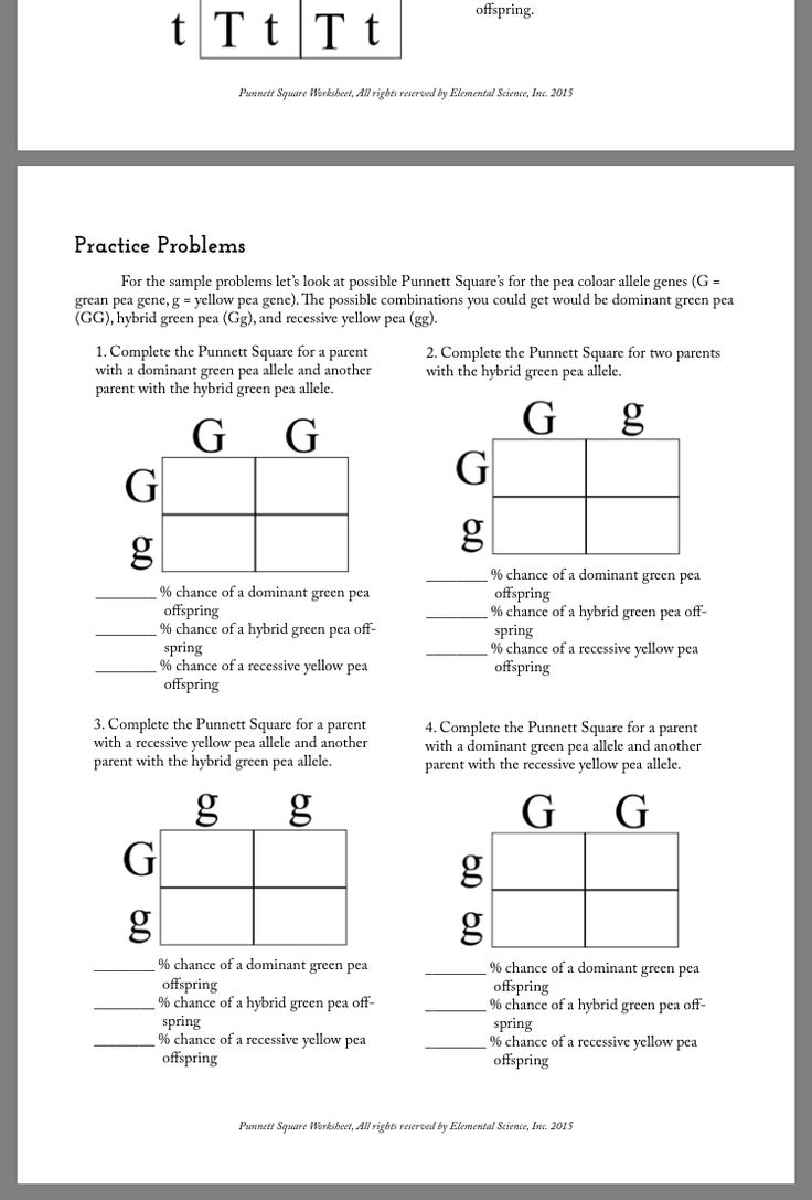 30 Punnett Square Practice Worksheet