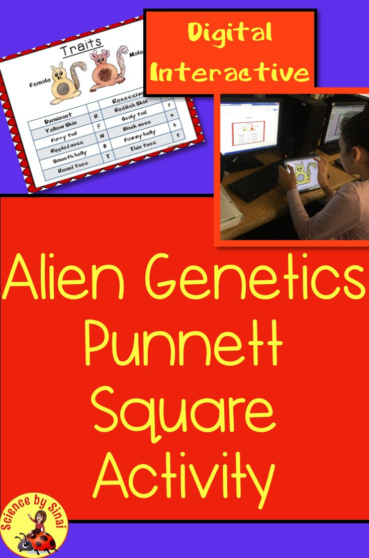 30 Punnett Square Practice Worksheet