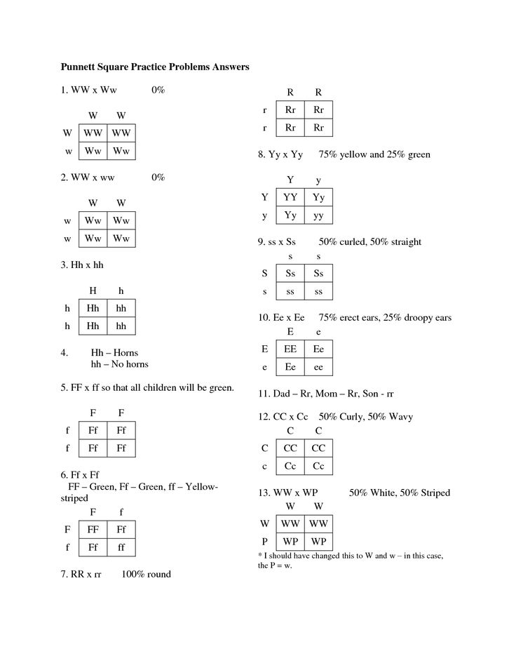 30 Punnett Square Practice Worksheet