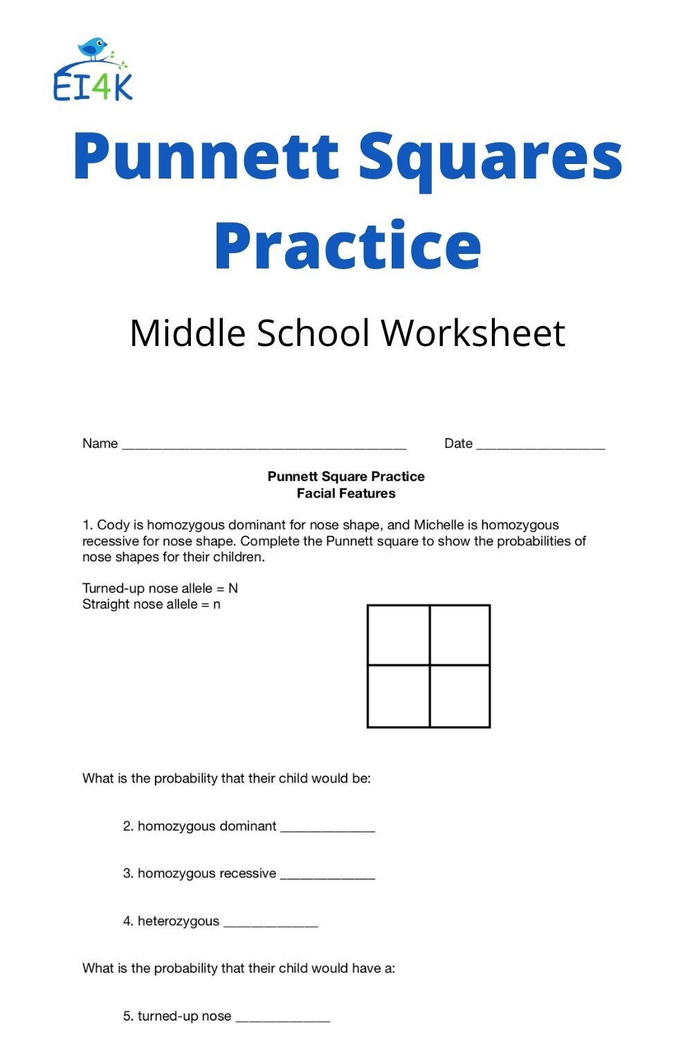 30 Punnett Square Practice Worksheet