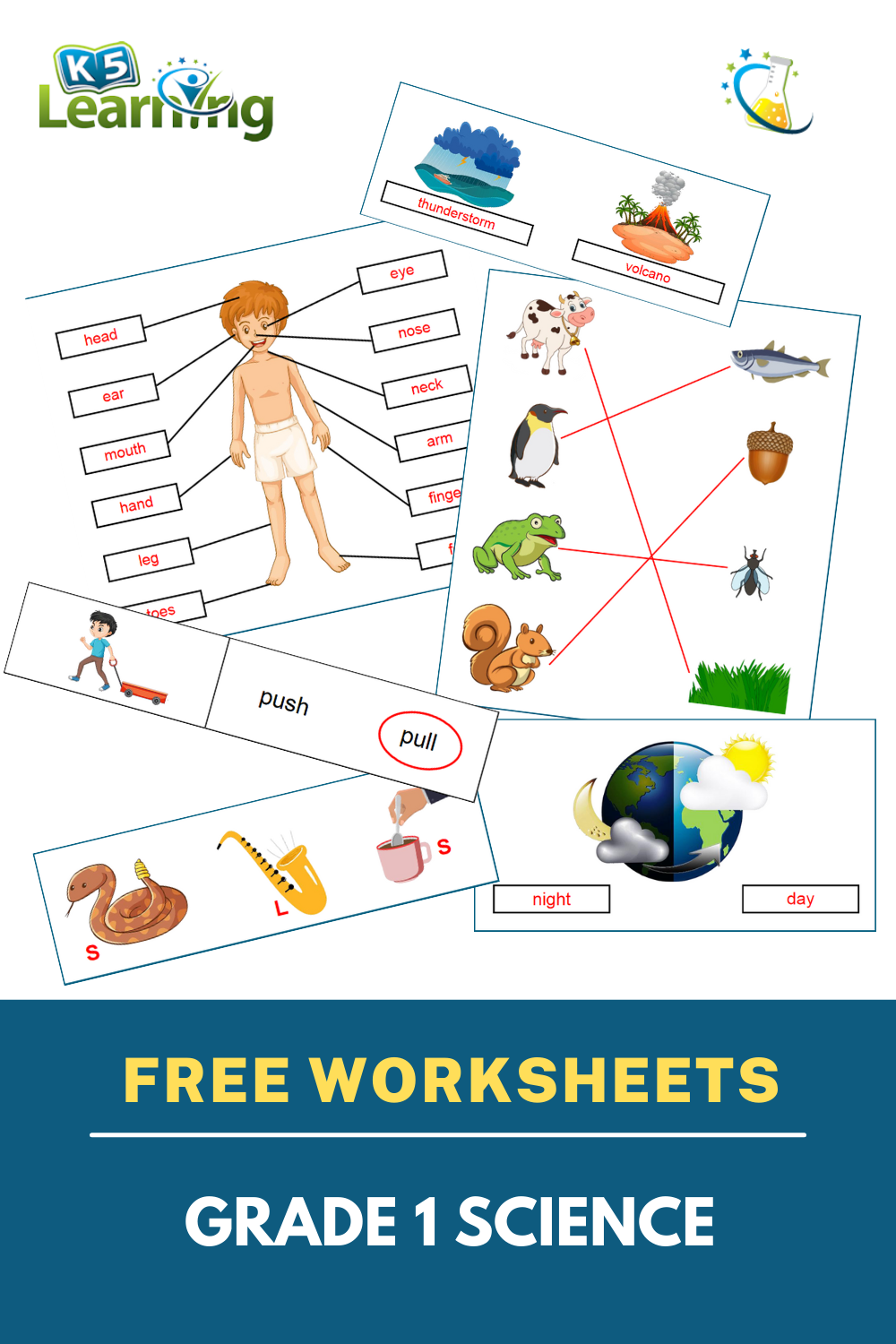 30 Science Worksheets For 1St Grade