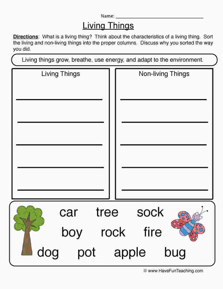 30 Science Worksheets For 1St Grade