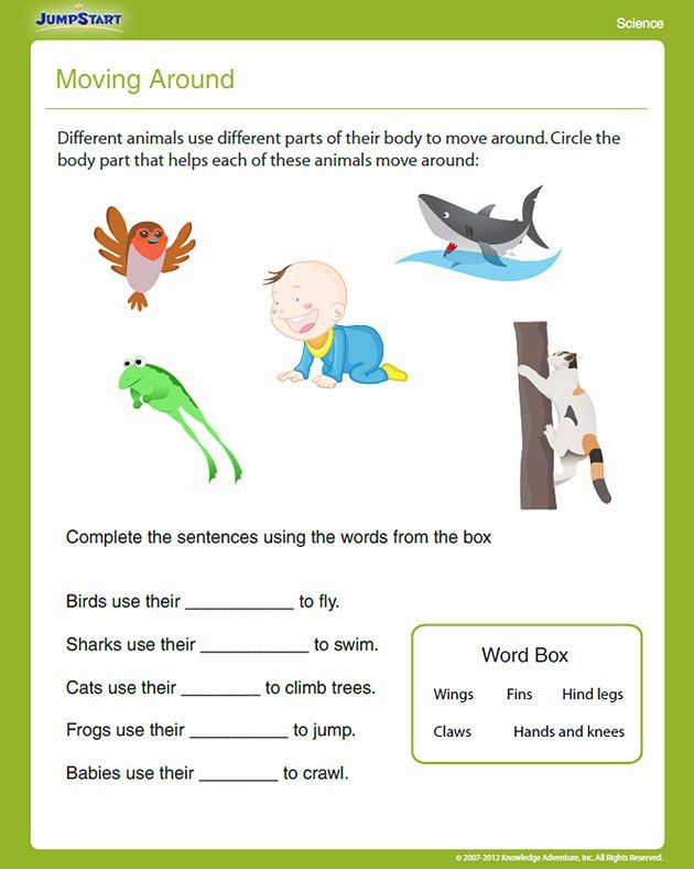 30 Science Worksheets For 1St Grade