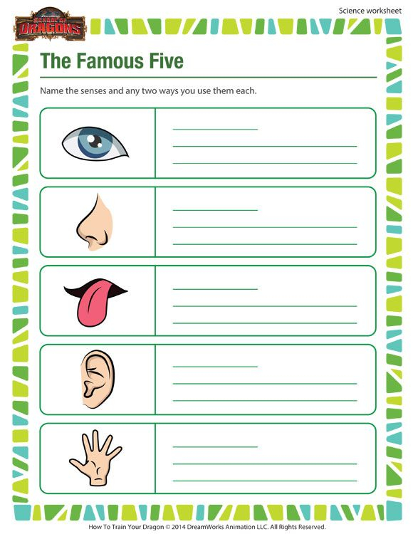 30 Science Worksheets For 1St Grade
