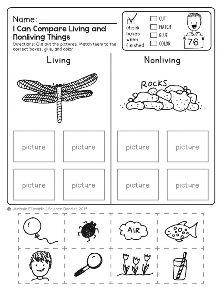 30 Science Worksheets For 1St Grade