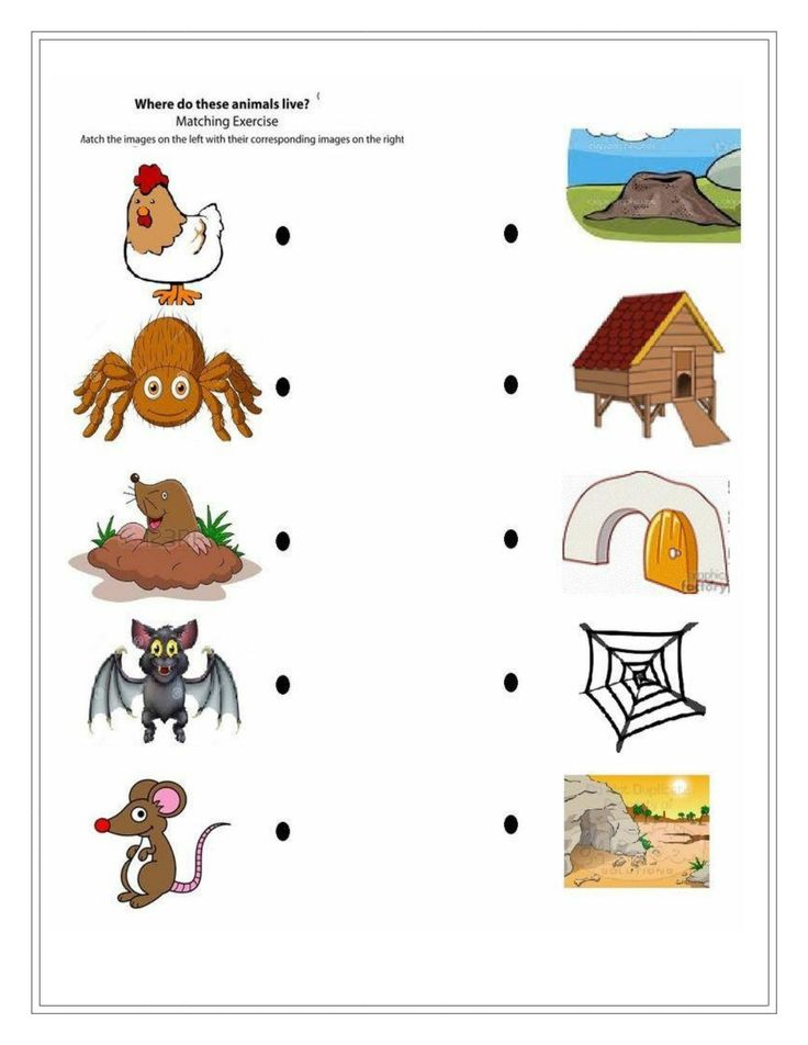 30 Science Worksheets For 1St Grade