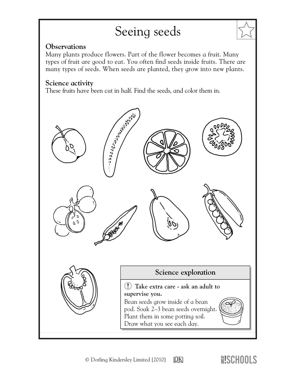 30 Science Worksheets For 1St Grade