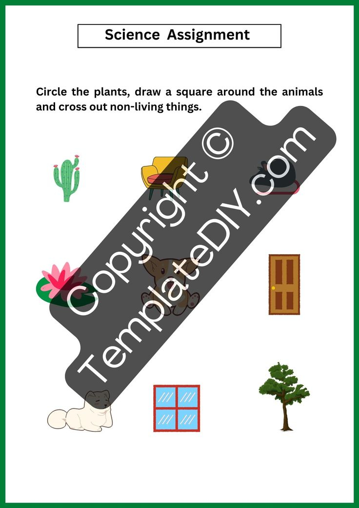 30 Science Worksheets For 1St Grade