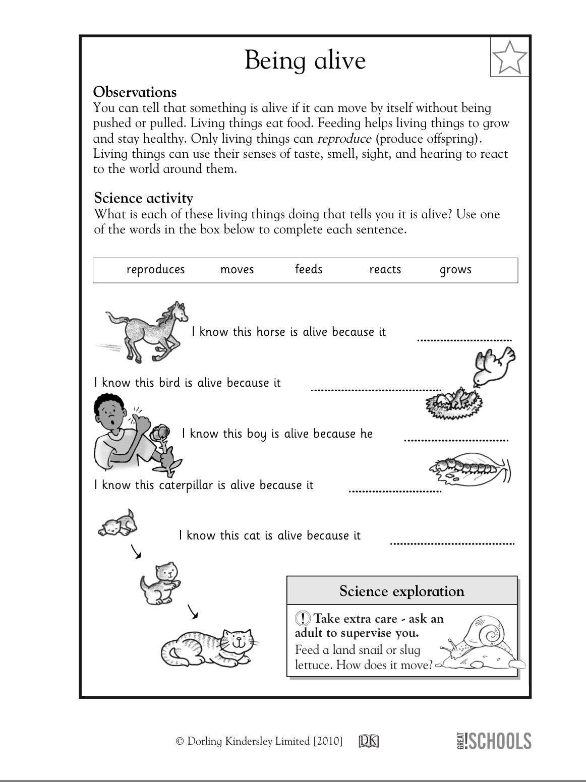 30 Science Worksheets For 1St Grade