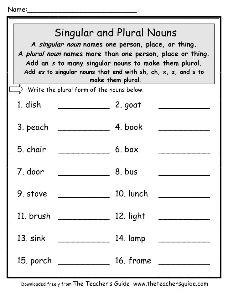 30 Singular And Plural Nouns Worksheets For Kindergarten