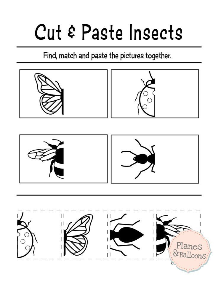 21 Cut And Paste Worksheets Colors
