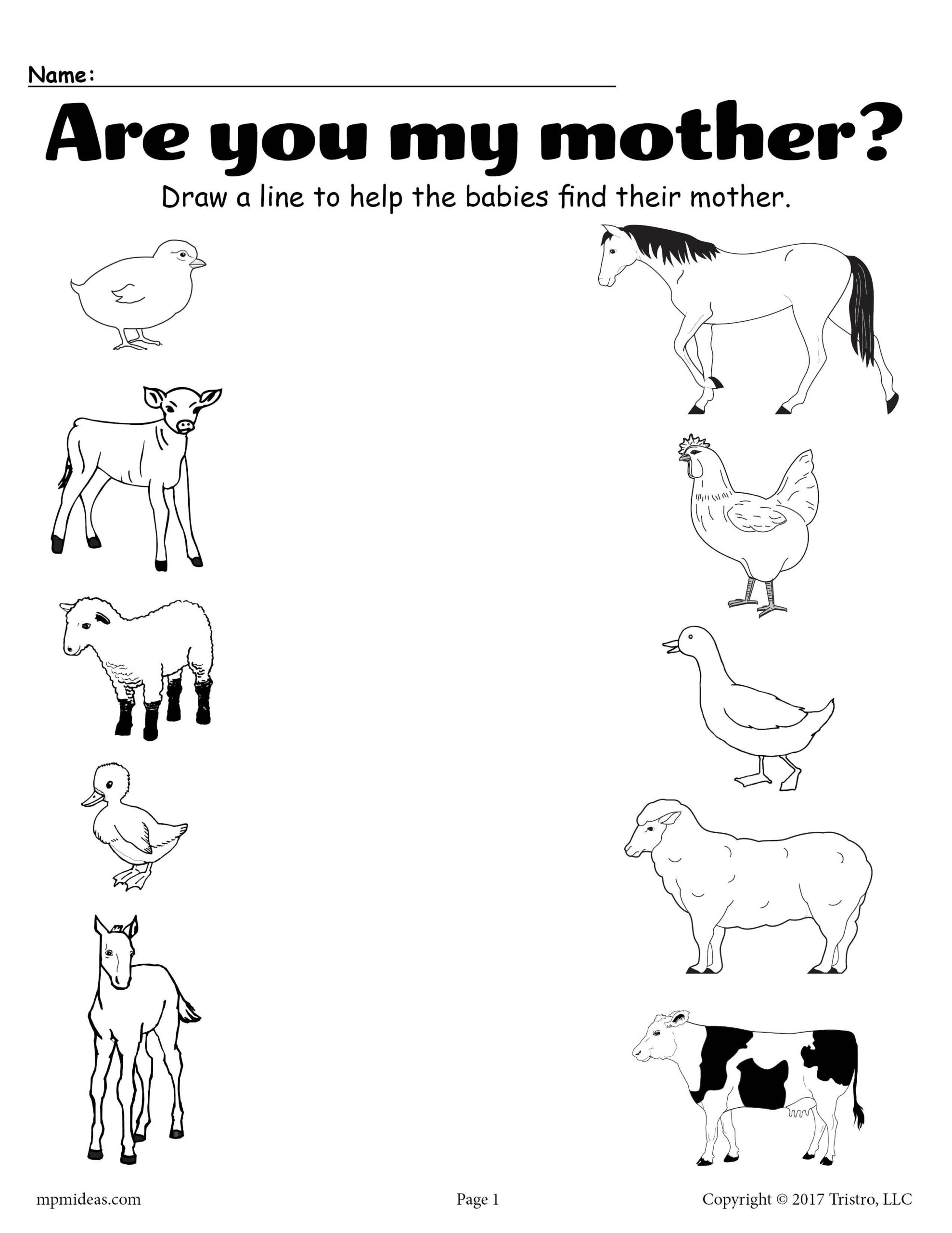 21 English Worksheets For Kids Kindergarten Animals