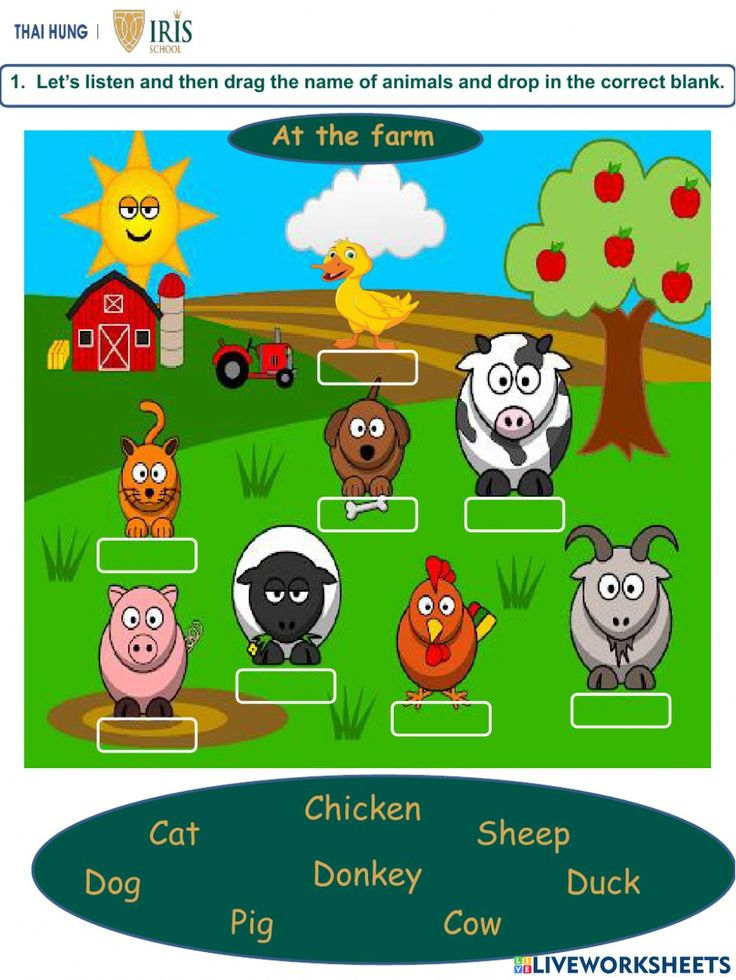 21 English Worksheets For Kids Kindergarten Animals