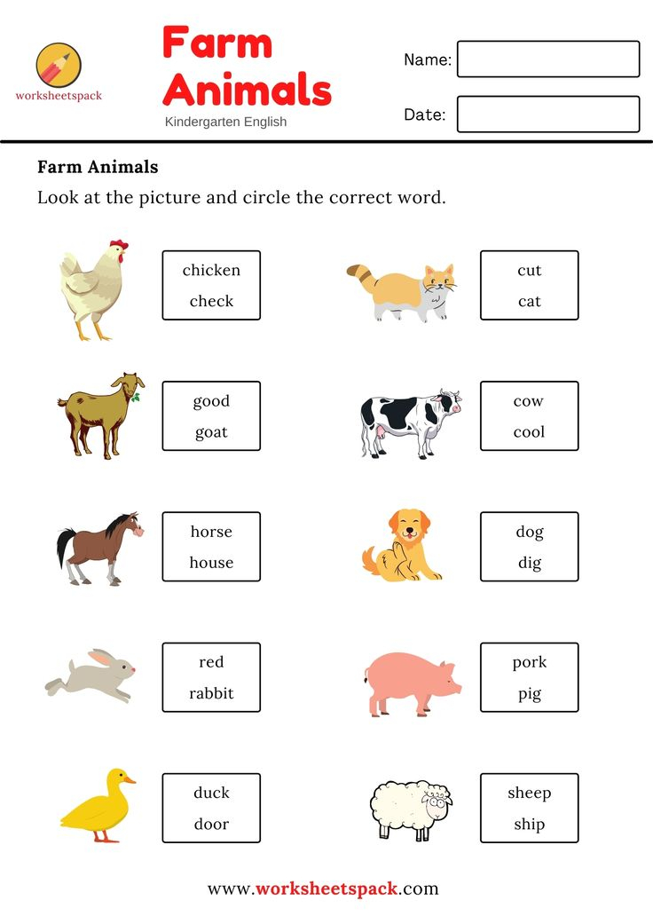 21 English Worksheets For Kids Kindergarten Animals