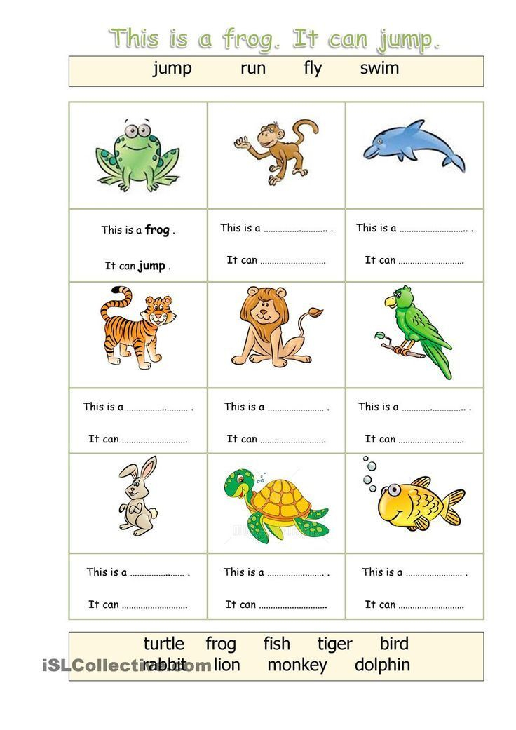 21 English Worksheets For Kids Kindergarten Animals