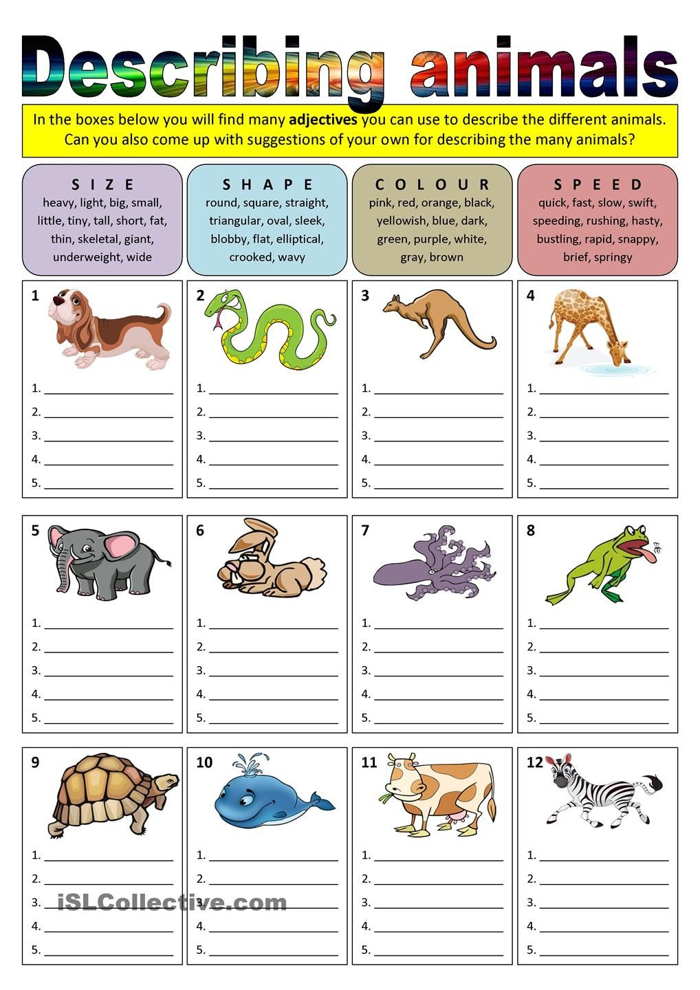 21 English Worksheets For Kids Kindergarten Animals