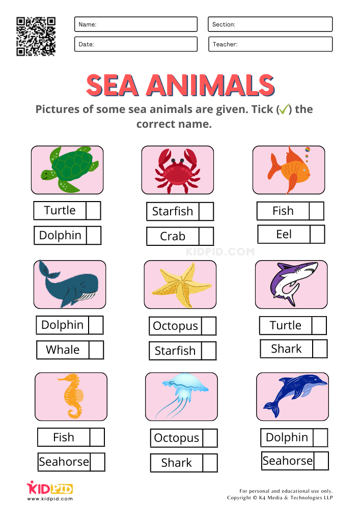 21 English Worksheets For Kids Kindergarten Animals