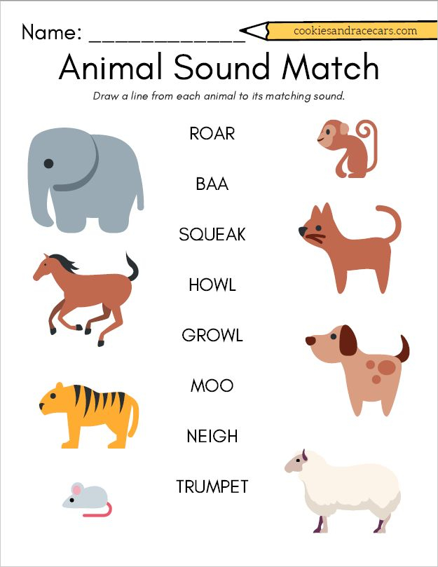 21 English Worksheets For Kids Kindergarten Animals