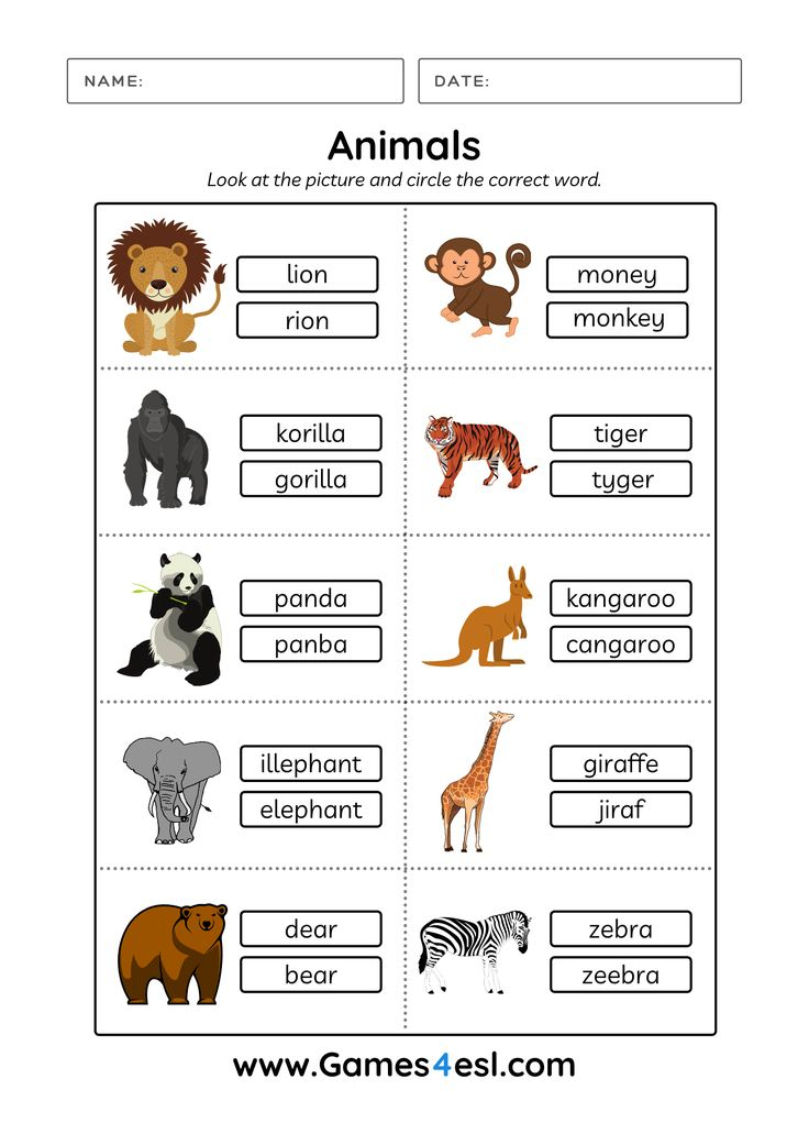 21 English Worksheets For Kids Kindergarten Animals