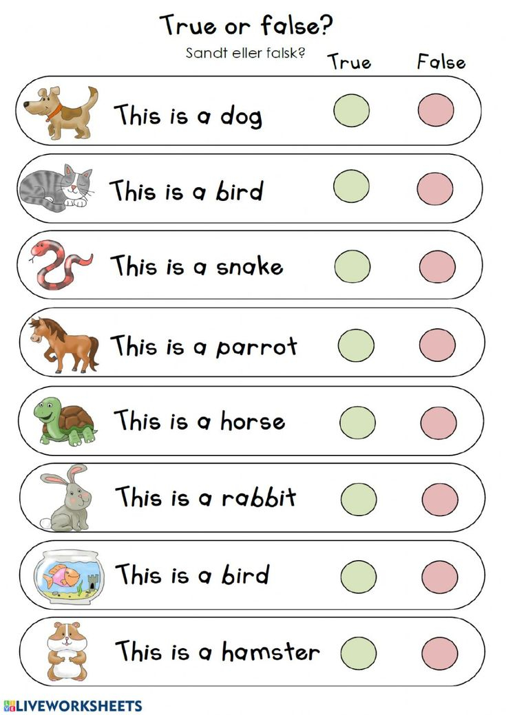 21 English Worksheets For Kids Kindergarten Animals