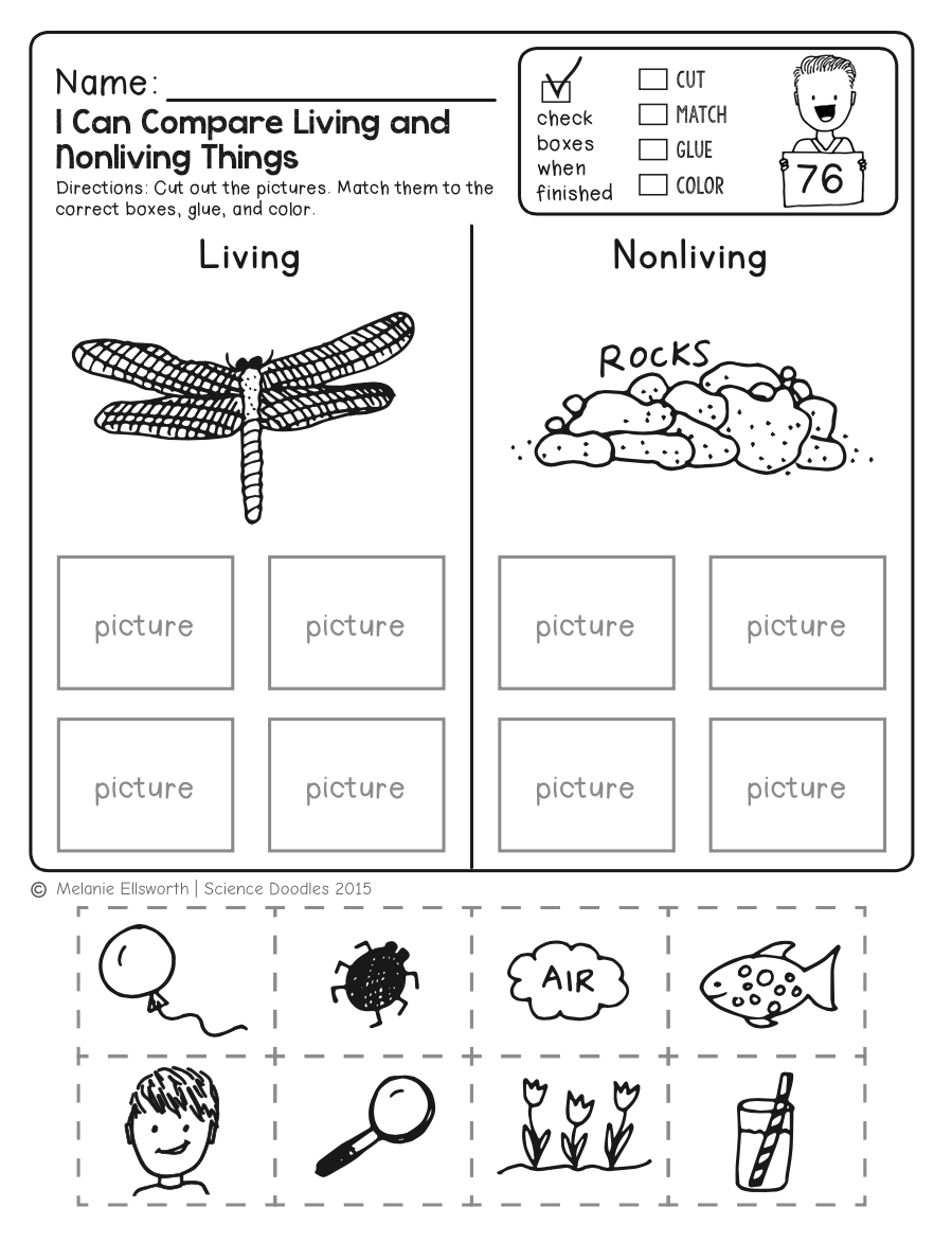 21 Printable Worksheets For Kindergarten Science